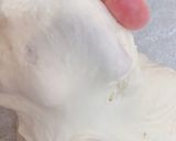 やわもち食感♪基本の米粉パン作り方2写真