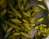 旬の炊いたん♡新茎わかめ「おうち居酒屋」作り方9写真