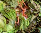 コリアン　チョレギサラダ　豆腐と韓国海苔作り方1写真