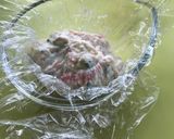 レンジで☆豆腐の茶巾作り方5写真