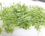あおいちゃんの豆苗とにんじんのナムル作り方3写真