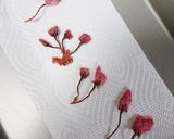 桜マドレーヌ作り方1写真