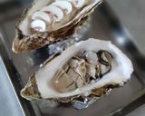 失敗しないホワイトソースde牡蛎グラタン作り方13写真
