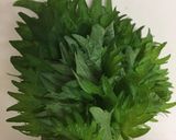 青じその保存方法作り方1写真