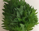 青じその保存方法作り方1写真