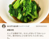 麺つゆで簡単♪菜の花のからし和え作り方7写真