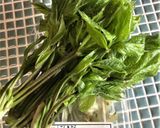 山菜こしあぶらのゴマ和え作り方1写真