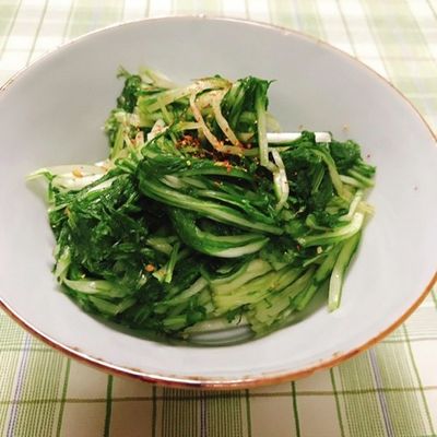 水菜の一夜漬け by 紅幸パパ 【クックパッド】 簡単おいしいみんなの