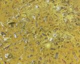 インド風スパイシーチキンカレー作り方8写真