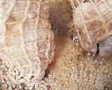 常備食☆圧力鍋でやわらかチャーシュー作り方4写真