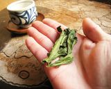 ブロッコリーの葉茶作り方1写真