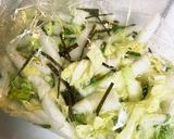 大葉と国産レモンの白菜の浅漬け作り方4写真