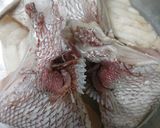 鯛かまのあら炊き作り方3写真