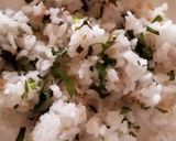 簡単！みょうがの甘酢漬けごはん(寿司飯)作り方8写真