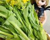 リカちゃん♡チンゲン菜の芽豚肉ポン酢炒作り方1写真