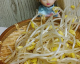 リカちゃん♡とろりもやしエノキ中華スープ作り方2写真