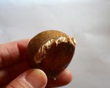 気軽に＊栗の渋皮煮作り方2写真