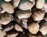 定番☆絶品☆アサリの酒蒸し作り方1写真