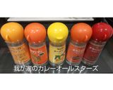 簡単！さらっと旨いチキンのスパイスカレー作り方4写真
