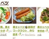【簡単】キャベツ即席ザワークラウト作り方9写真