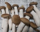 ぶなクイーンの冷凍保存方法・かんたん作り方3写真