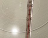 タンドリーチキン風の蒸し鳥の作り方作り方5写真