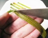 ほうれん草海苔作り方2写真