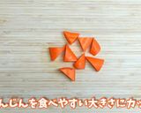 ロシア料理　乾燥ビーツを使用したボルシチ作り方1写真