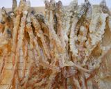 春の野草ツクシの天ぷら作り方6写真
