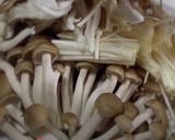 ご飯のお供に最適厚揚げとキノコの中華炒め作り方3写真