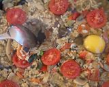 野菜のパエリア作り方8写真