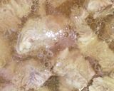 ステーキ職人の茹で牛肉のムゲンソルト添え作り方11写真