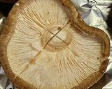 しいたけのバター醤油焼き作り方1写真