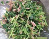 豆苗とツナ缶のめんつゆ和え作り方6写真