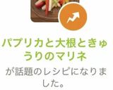 パプリカと大根ときゅうりのマリネ作り方10写真