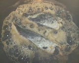 ３つの材料でさっぱり簡単♪たらの梅煮作り方3写真