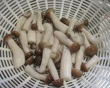 ワサビ菜と鰹フレークの和洋折衷和え作り方3写真