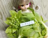 リカちゃん♡ふきのとうとハムの塩炒め*.作り方1写真
