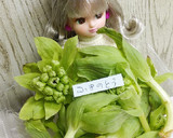 リカちゃん♡ふきのとうとハムの塩炒め*.作り方1写真