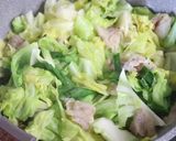 春キャベツ＆ハーリックの豚バラぽん酢炒め作り方3写真