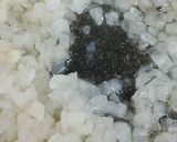 リカちゃん♡牡蠣赤ワイン煮*.作り方3写真
