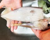 イカの捌き方(加熱調理用)作り方2写真