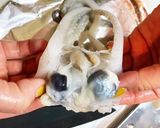 イカの捌き方(加熱調理用)作り方5写真