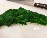 おひたしふうツナとカラシ菜サラダ作り方1写真