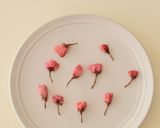 桜のティグレ作り方9写真