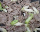 鴨と九条ねぎのうどん作り方1写真