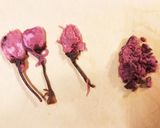 簡単♪昔ながらの蒸しパン（桜の塩漬け）作り方2写真