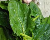 リカちゃん♡ハムほうれん草ペペロンパスタ作り方1写真