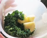 ケールとキウイのスムージー作り方1写真