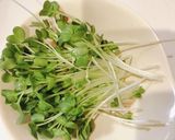 【簡単】チーズとカイワレの生ハム包み作り方2写真